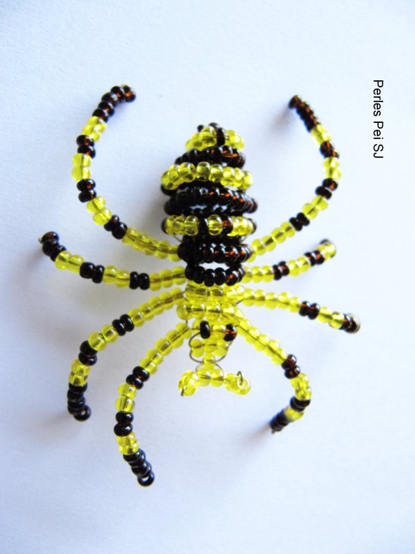 araignee-pei-10