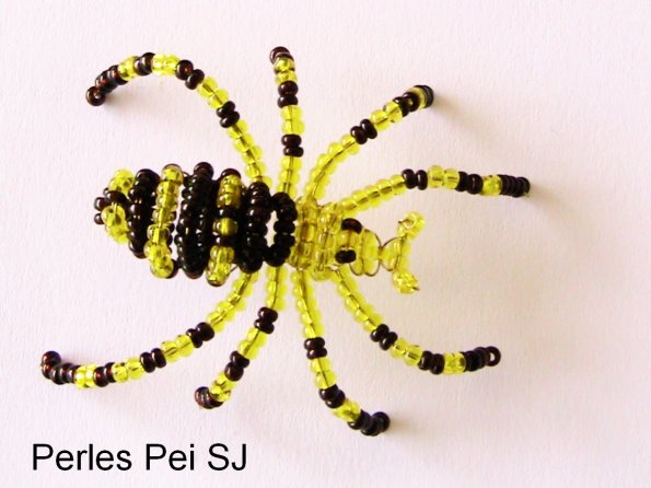 araignee-pei-5