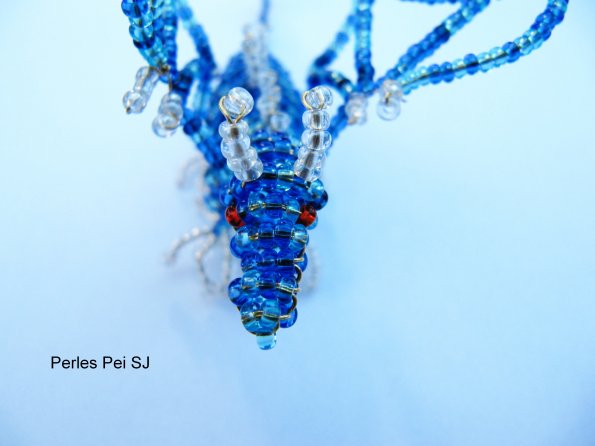dragon-bleu-blanc-12