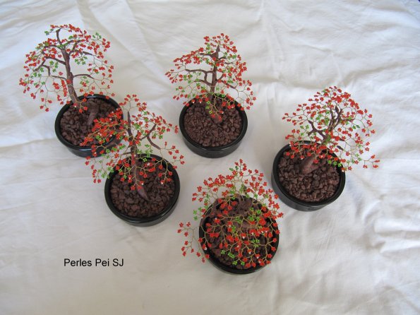 flamboyant-petit-new-1