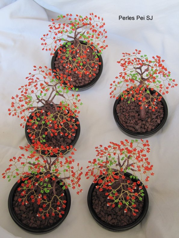 flamboyant-petit-new-25