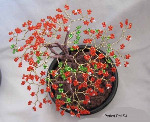 flamboyant-petit-new-28