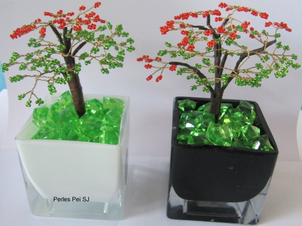 flamboyant_petit_bis_18