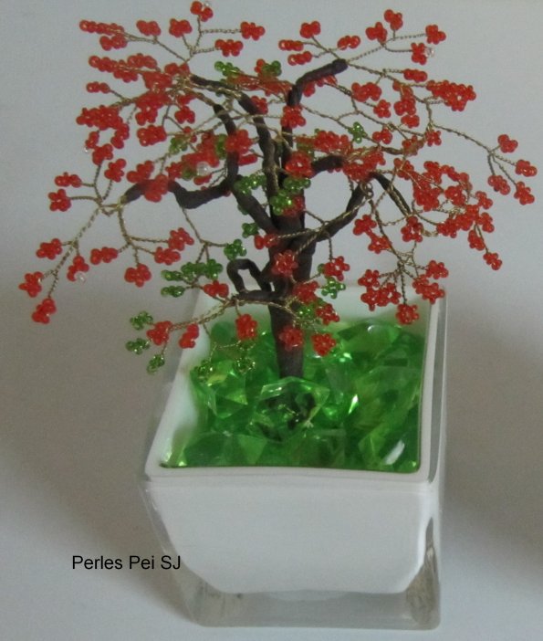 flamboyant_petit_bis_24