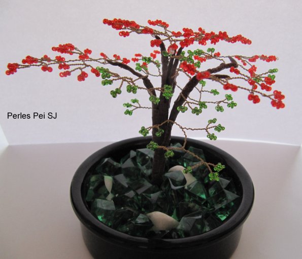 flamboyant_petit_bis_32