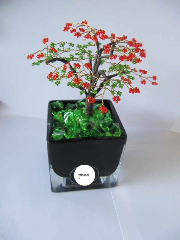 flamboyant_petit_bis_5