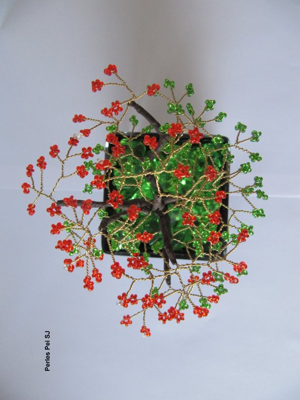 flamboyant_petit_bis_8