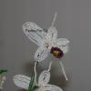 orchidee-blanche-violette