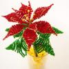 poinsettia-new
