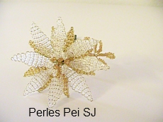 poinsetia-blanc-or-1