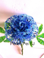 rose-geante-bleu-1