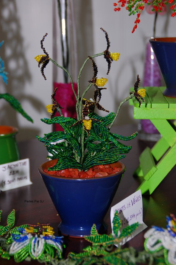 sabot-venus-composition-5