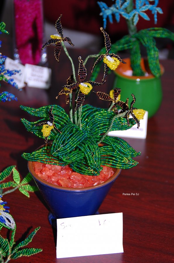 sabot-venus-composition-6